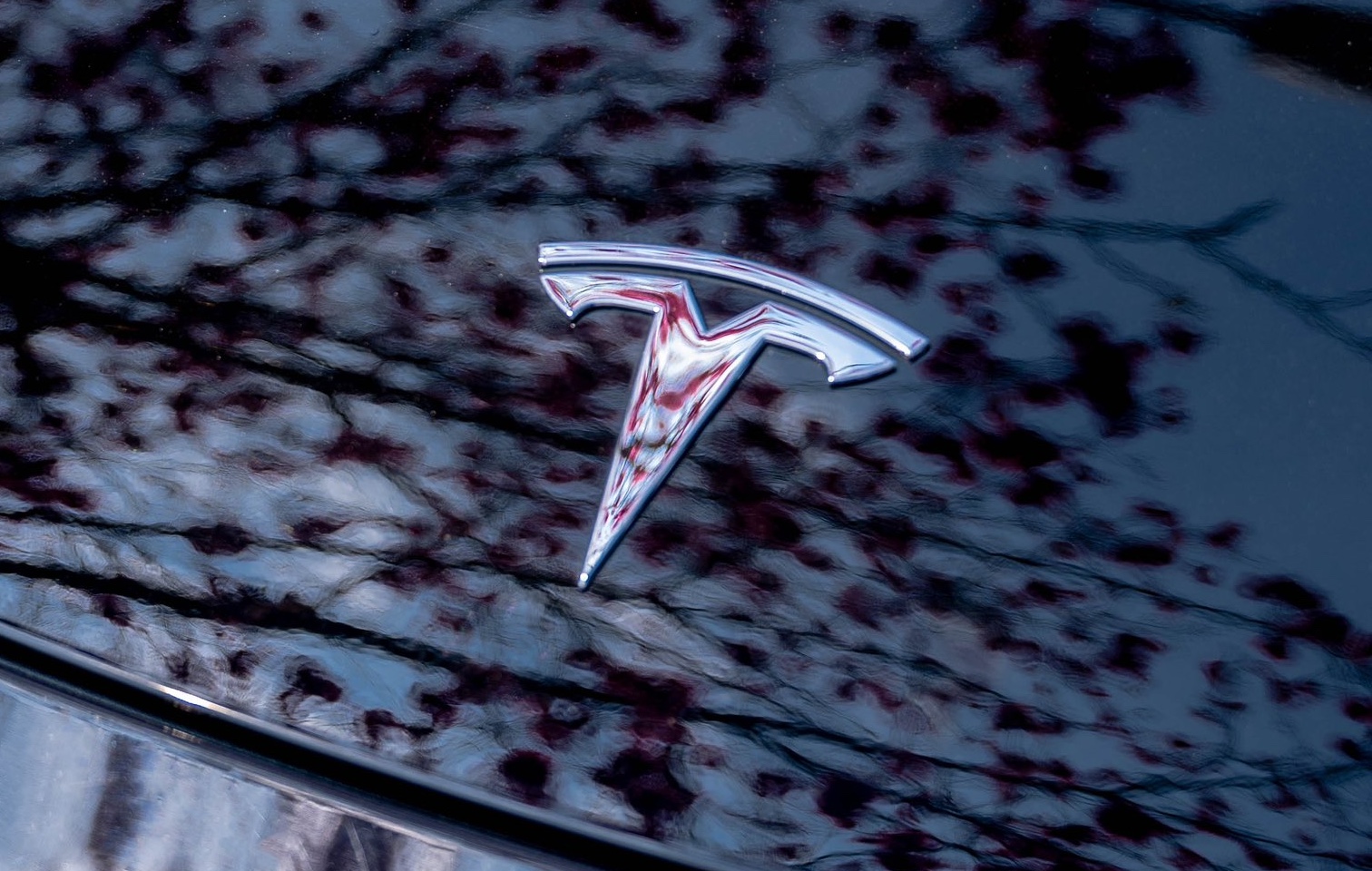 Tesla увеличила квоты на выбросы в 2023 году, в то время как другие сообщили о дефиците